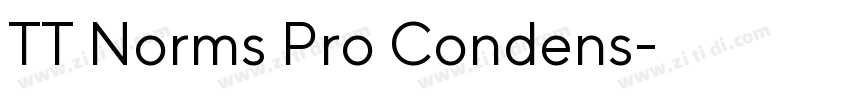 TT Norms Pro Condens字体转换